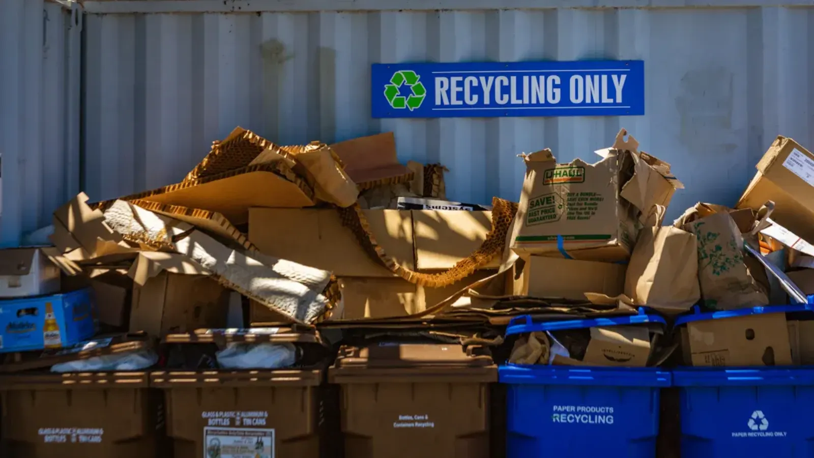 Reducing Plastic Pollution