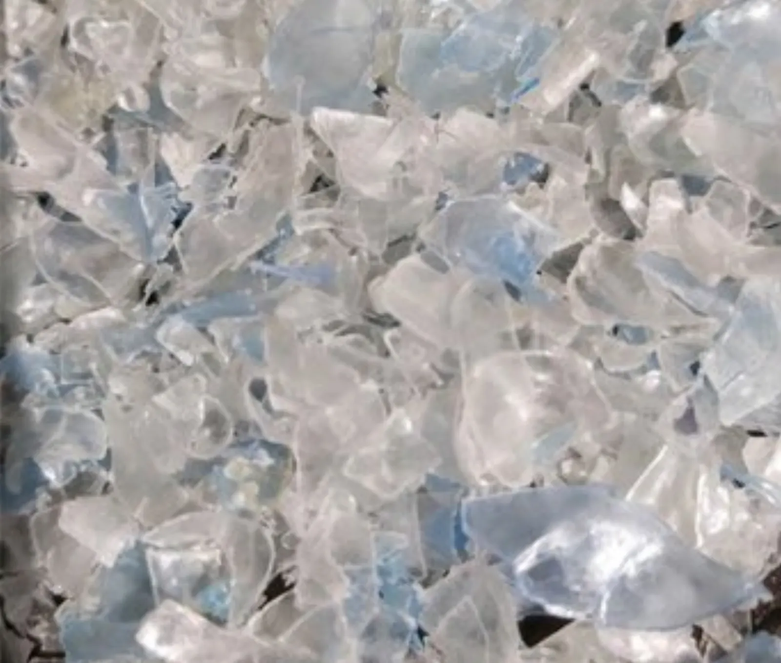 PET White Flake