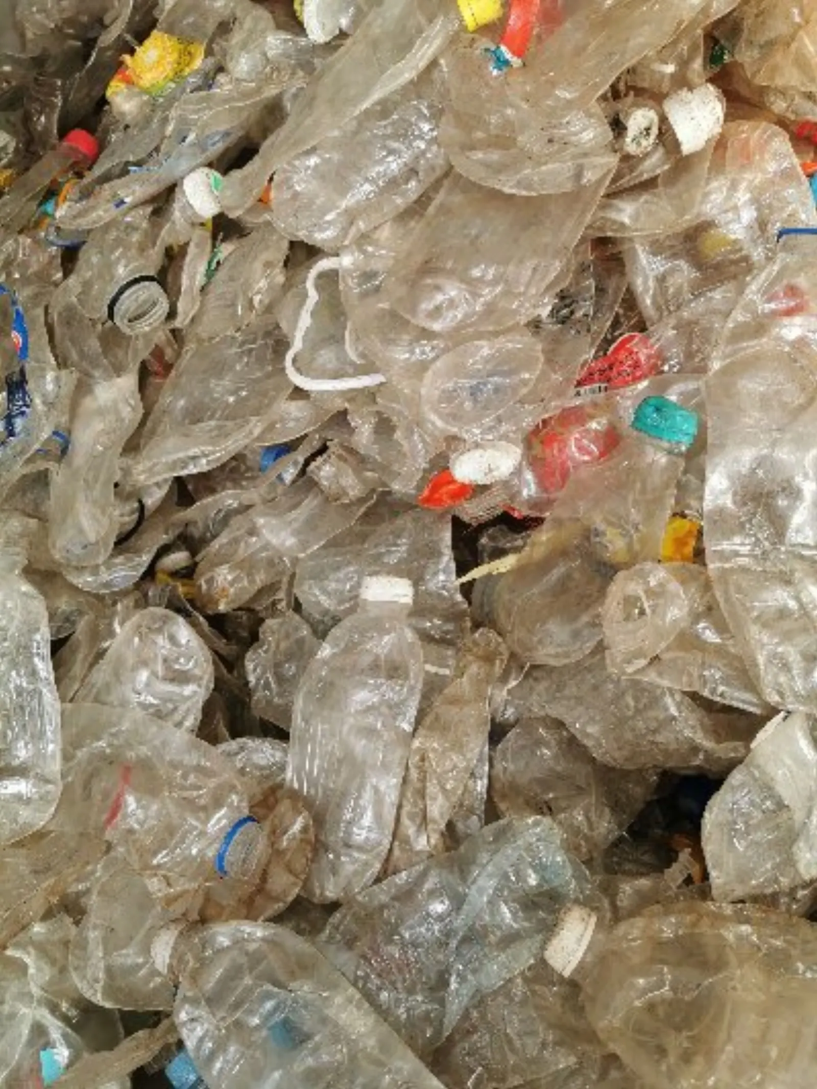 PET Bottle Recycled Flakes