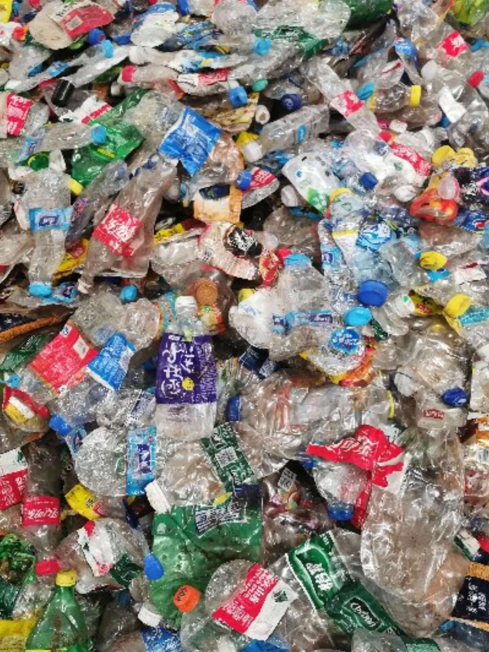 PET Bottle Recycled Flakes