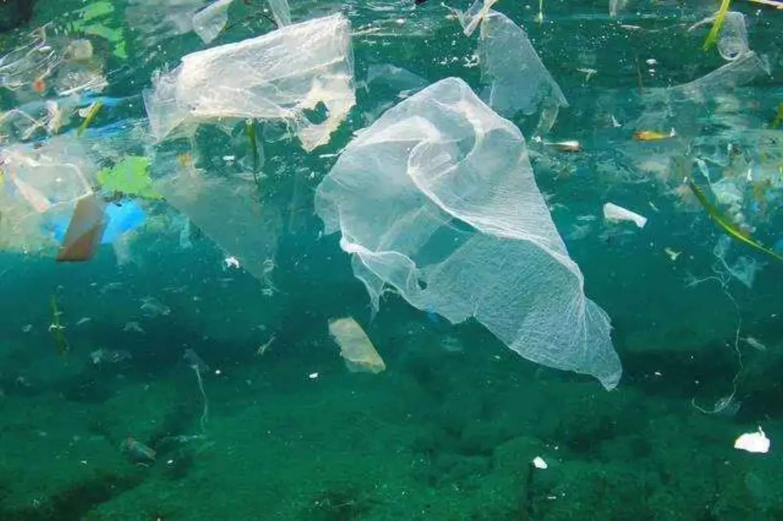 Pcr Post Consumer Recycling Machine Article 2