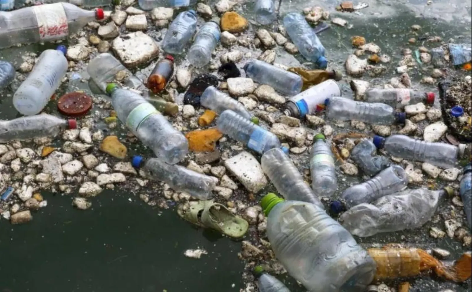 On The Global Agreement On Marine Plastic Pollution And The Future Of Plastic Recycling Article 1