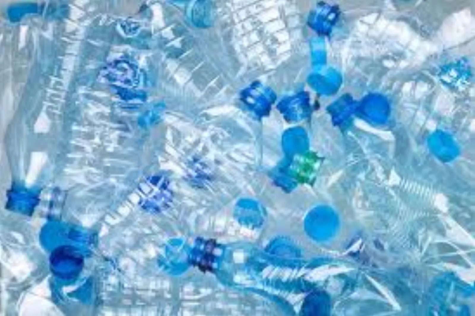 Article 2 sur le recyclage des bouteilles en plastique