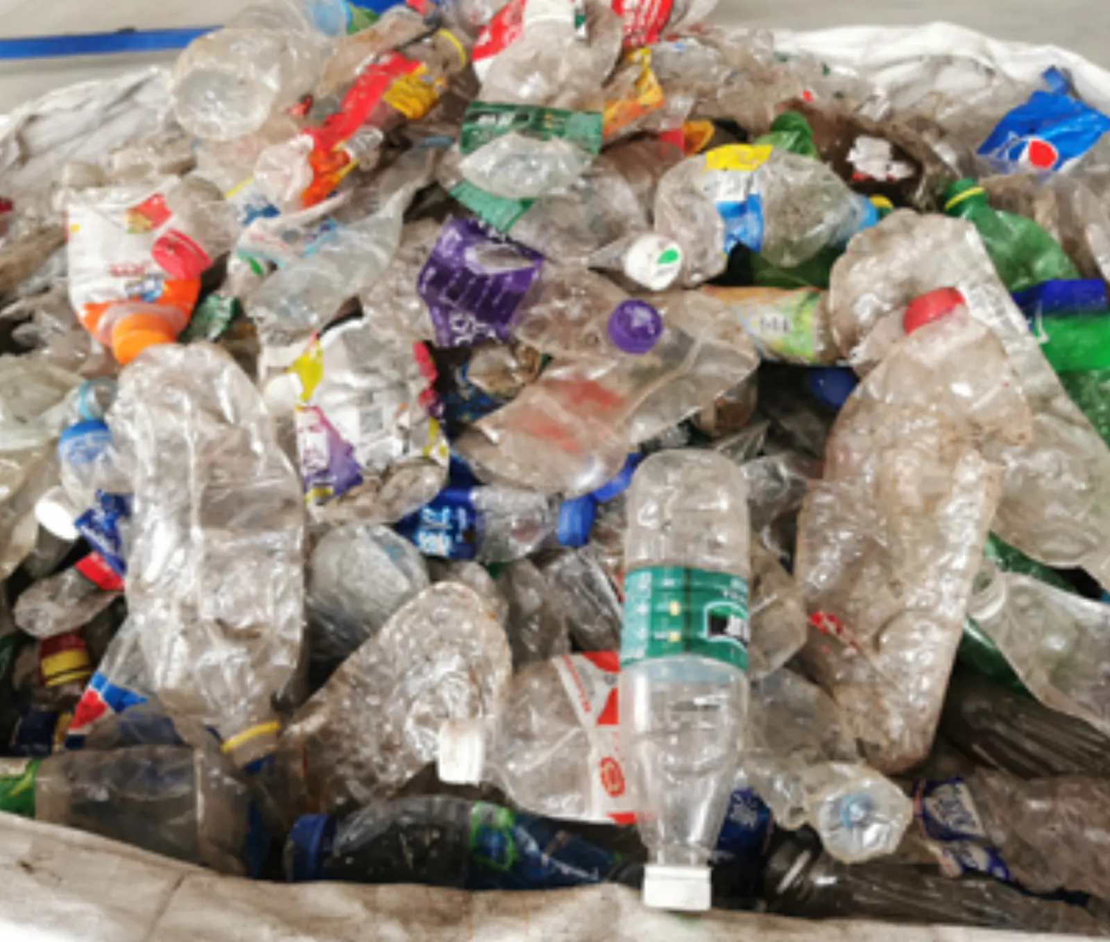 Revolutionizing Plastic Waste Management: The Plastic Bottle Recycling Machine