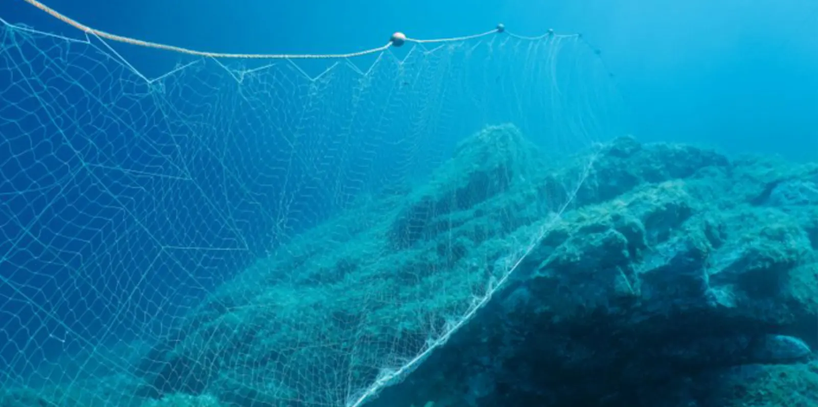 Global Plastics Treaty Concerns Discarded Plastic Fishing Nets Recycling Tyre Wear Particles Article 1