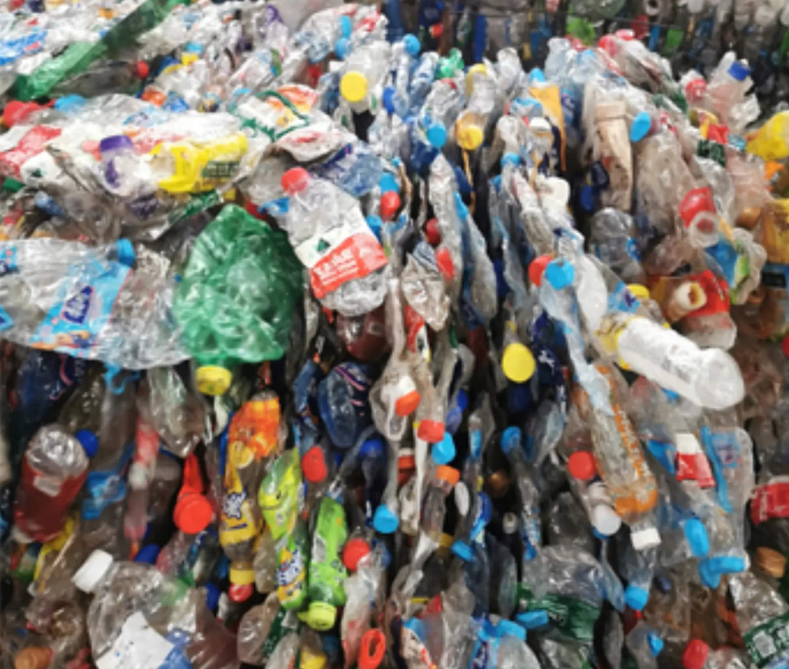 PET Bottle