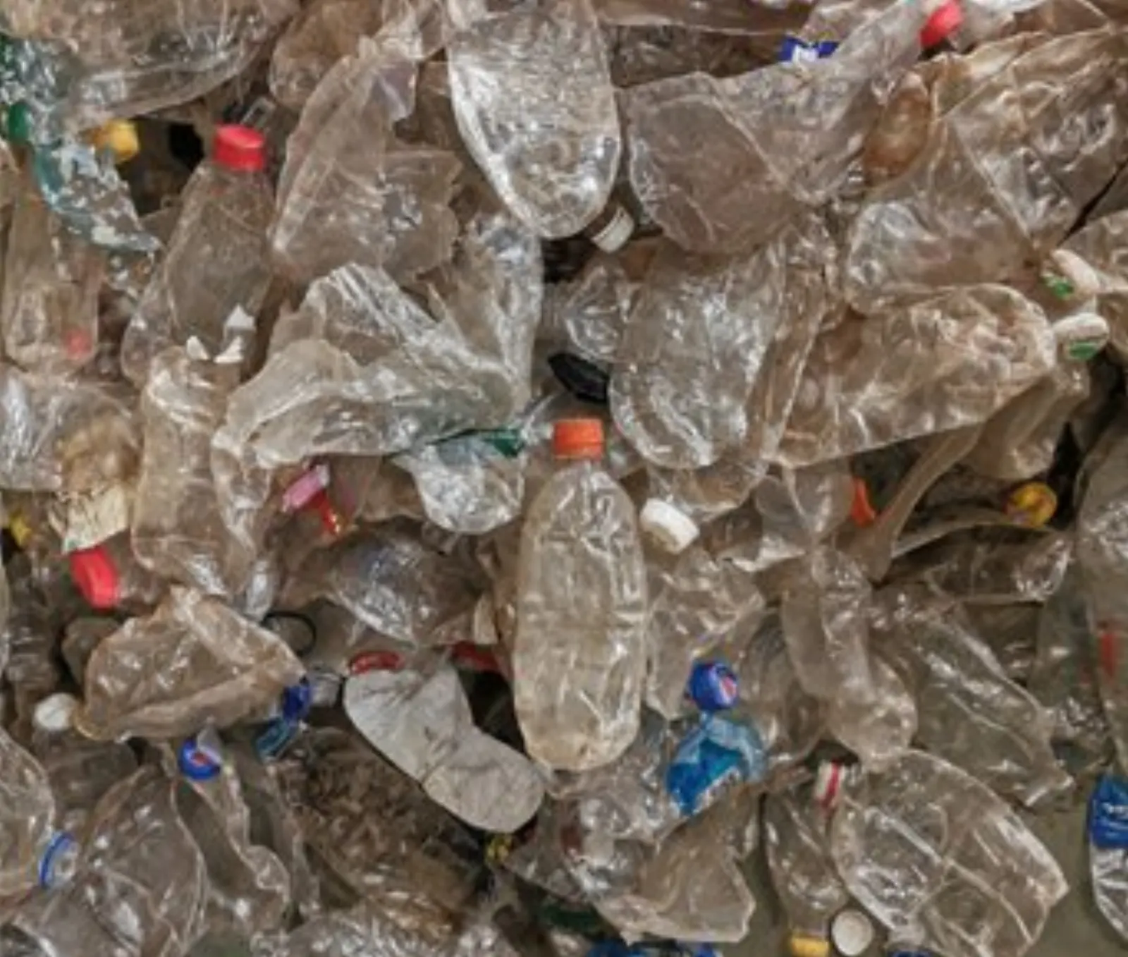 PET Bottle