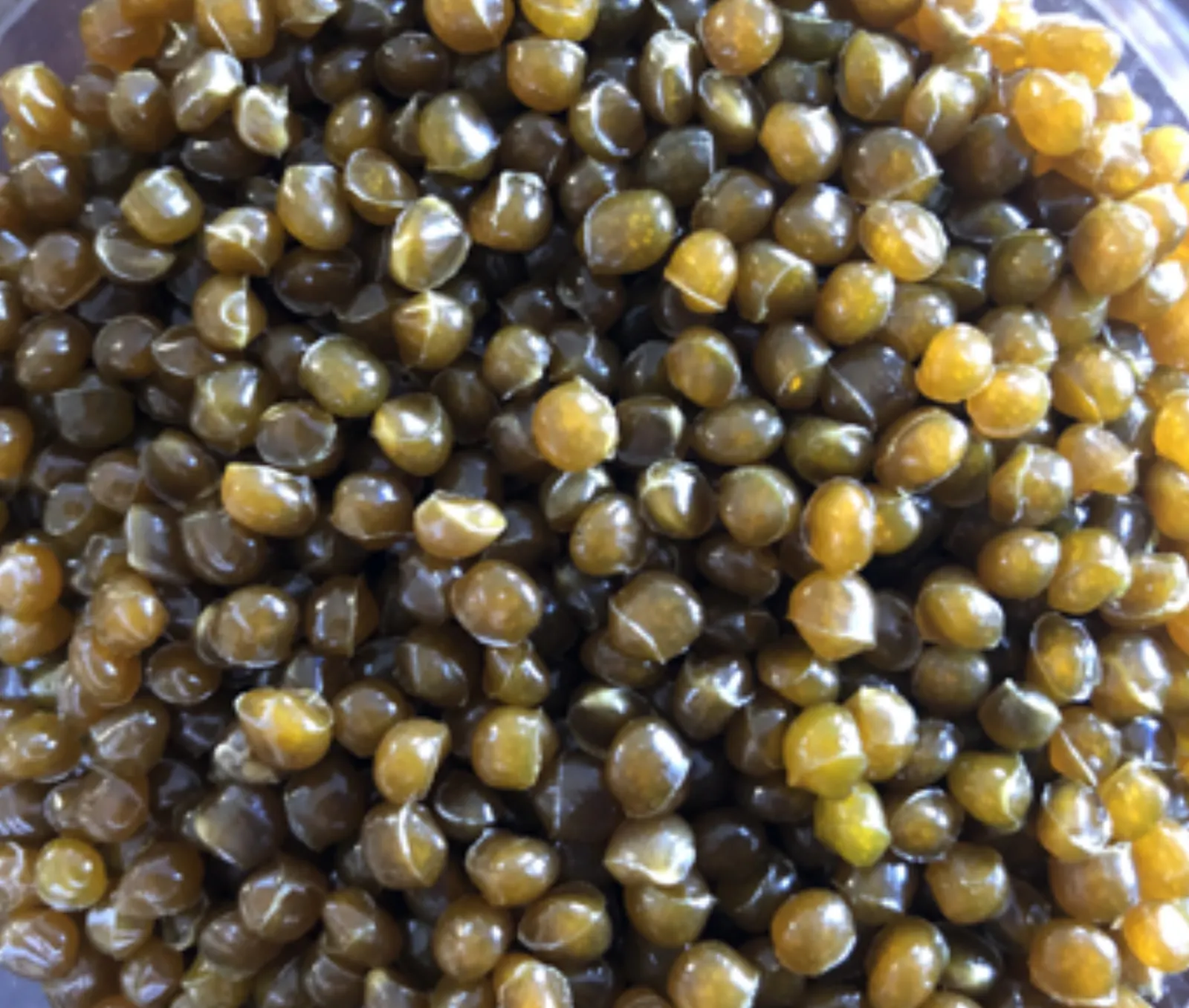 PS Granules