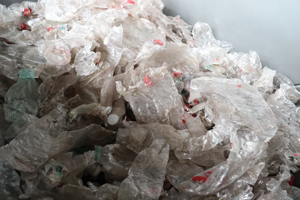 Clean PET bottle flakes after washing and recycling